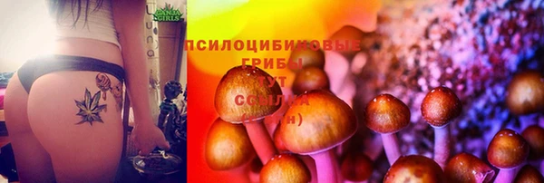 кокаин колумбия Алексин
