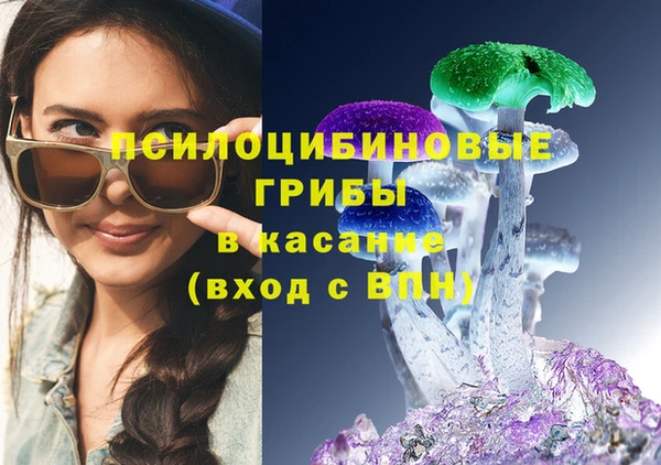 PSILOCYBIN Алексеевка
