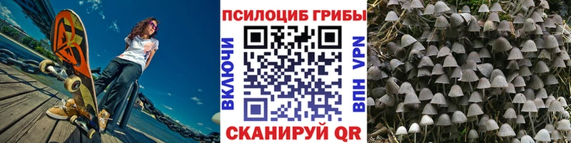 Псилоцибиновые грибы MAGIC MUSHROOMS кракен ССЫЛКА Котельники